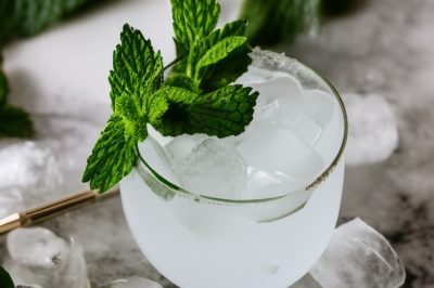 Polar Bear Shot Recipe: A Sweet Combination of Peppermint and Chocolate